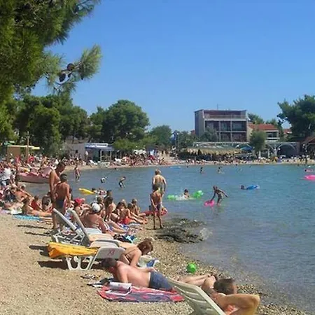 Under The Fig Tree *