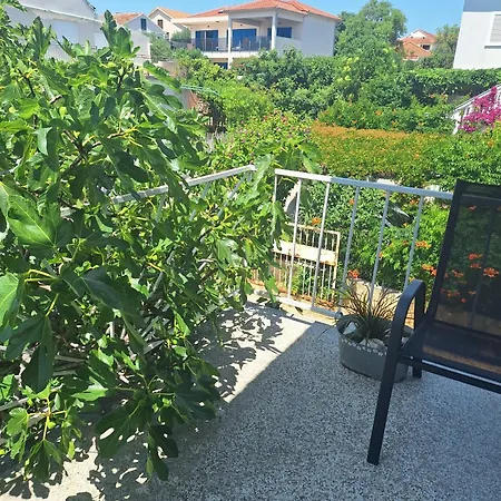 Under The Fig Tree *