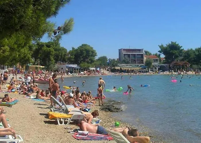 Under The Fig Tree *