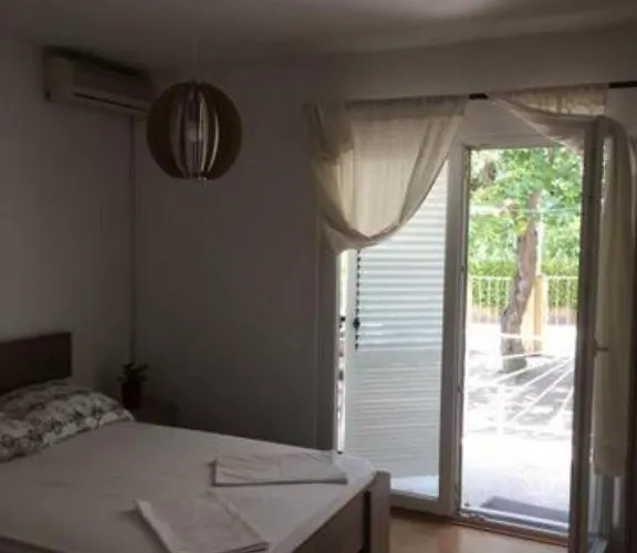 Under The Fig Tree * ピロヴァッツ