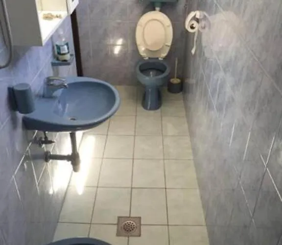 Under The Fig Tree *