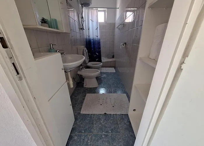 Under The Fig Tree ピロヴァッツ